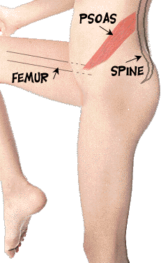 psoas1